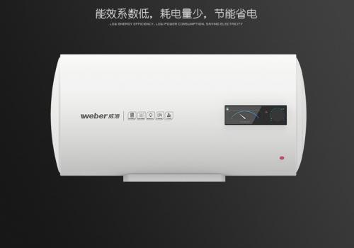 威博熱水器 儲水型 F22EY(D)